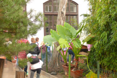 P1140211