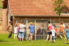 P1150464