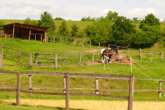 P1150507