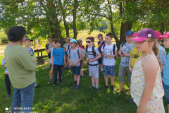 IMG_20210608_100951
