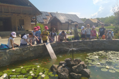 IMG_20210608_102106