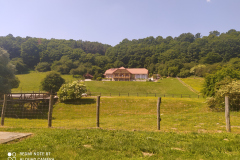 IMG_20210608_102450