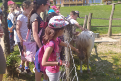 IMG_20210608_102905