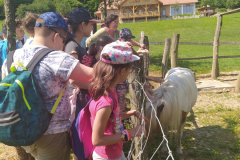 IMG_20210608_102914
