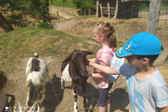 IMG_20210608_105602