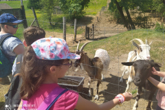 IMG_20210608_105608