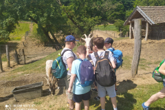 IMG_20210608_105637