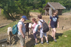 IMG_20210608_105645