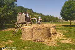 IMG_20210608_110102