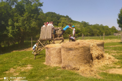 IMG_20210608_110108