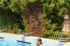 IMG_20210629_104412