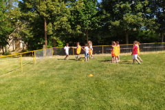 IMG_20210702_094252