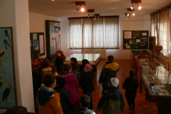 P1140539