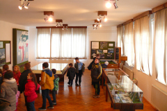 P1140542