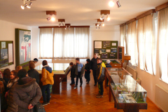 P1140543